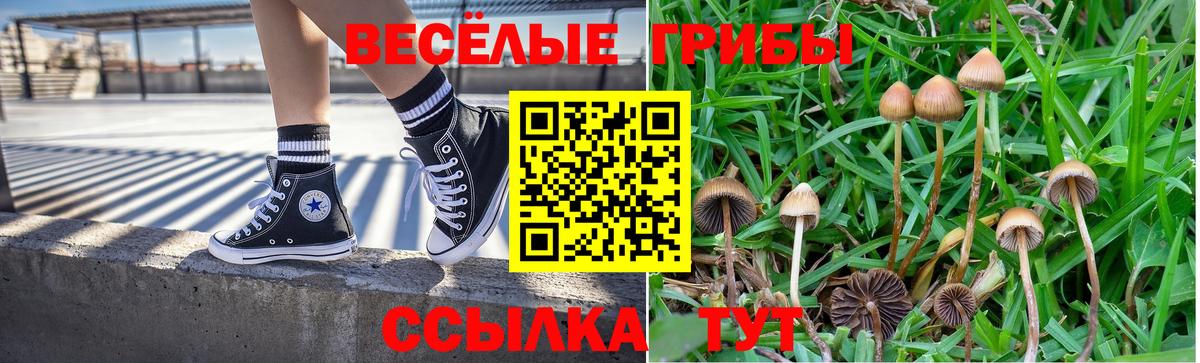 Псилоцибиновые грибы мухоморы  Псилоцибиновые грибы MAGIC MUSHROOMS  Вход с VPN  Тамбов 